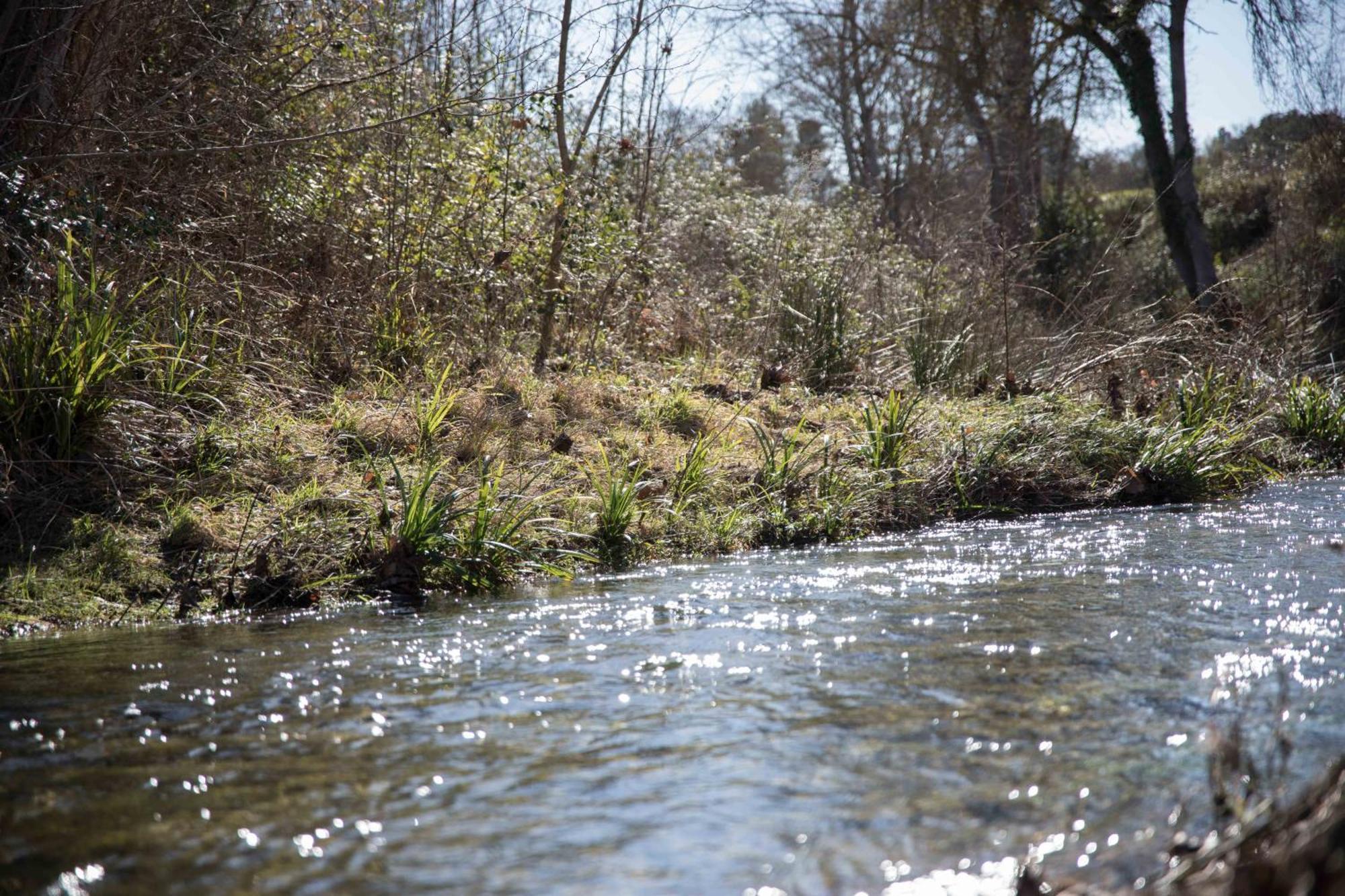 With Private Jacuzzi, Shiatsu & Healthy Food Apartment Ladern-sur-Lauquet